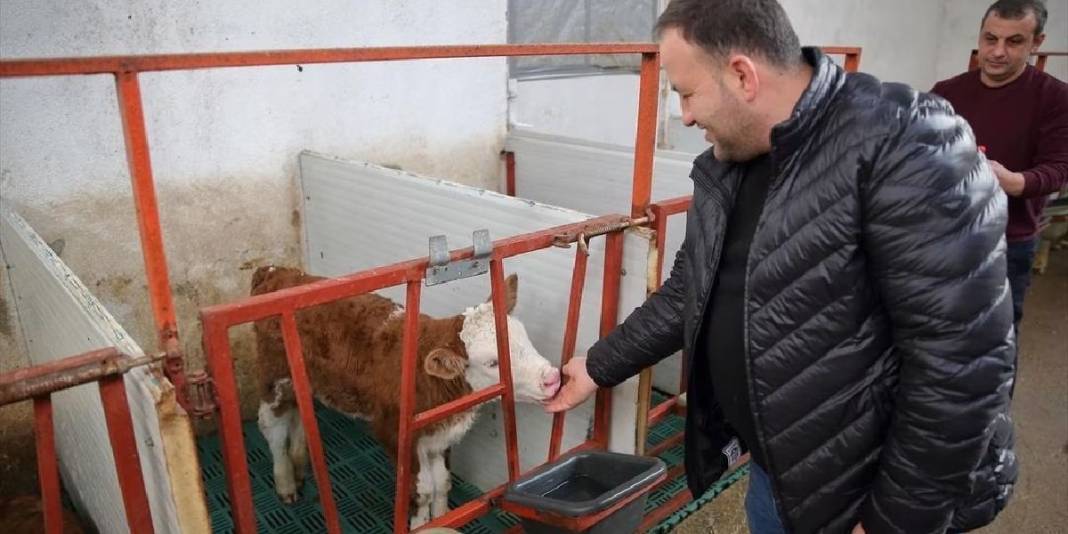 Patronundan maaş beklerken şimdi o maaş veriyor! Arabasını satıp girdiği işte köşeyi döndü 6